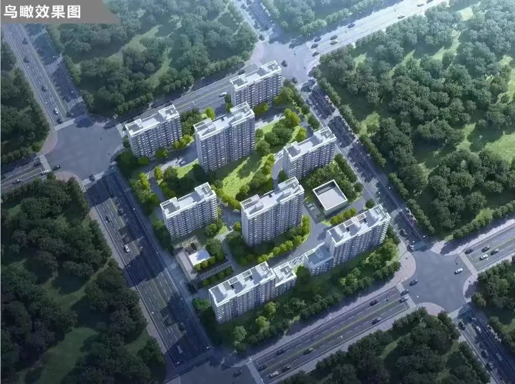 1703648051498026409.jpg 1703648051498026409.jpg